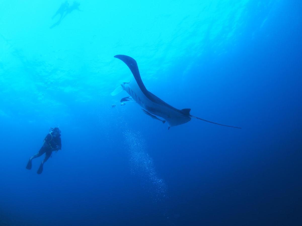 מלון דהיגורה Unwind Dhigurah מראה חיצוני תמונה