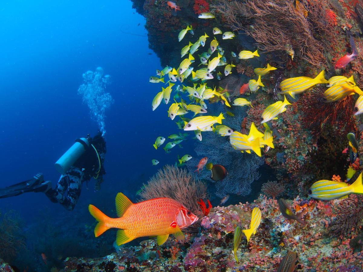 מלון דהיגורה Unwind Dhigurah מראה חיצוני תמונה